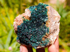Natural Crystalline Malachite Specimens x 6 From Tenke Fungurume, Congo - Toprock Gemstones and Minerals 