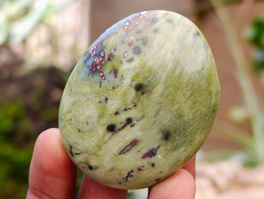 Polished Leopard Stone Free Forms x 10 From Zimbabwe - Toprock Gemstones and Minerals 