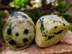 Polished Leopard Stone Free Forms x 10 From Zimbabwe - Toprock Gemstones and Minerals 