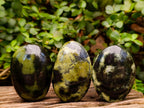 Polished Leopard Stone Free Forms x 10 From Zimbabwe - Toprock Gemstones and Minerals 