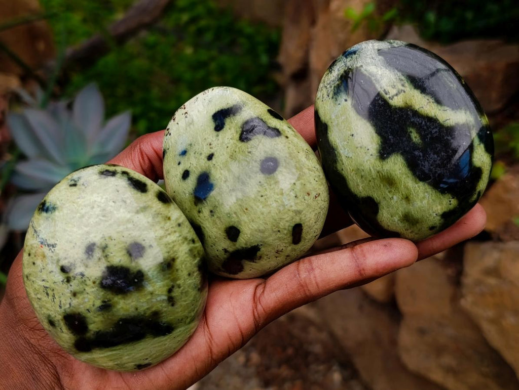 Polished Leopard Stone Free Forms x 10 From Zimbabwe - Toprock Gemstones and Minerals 