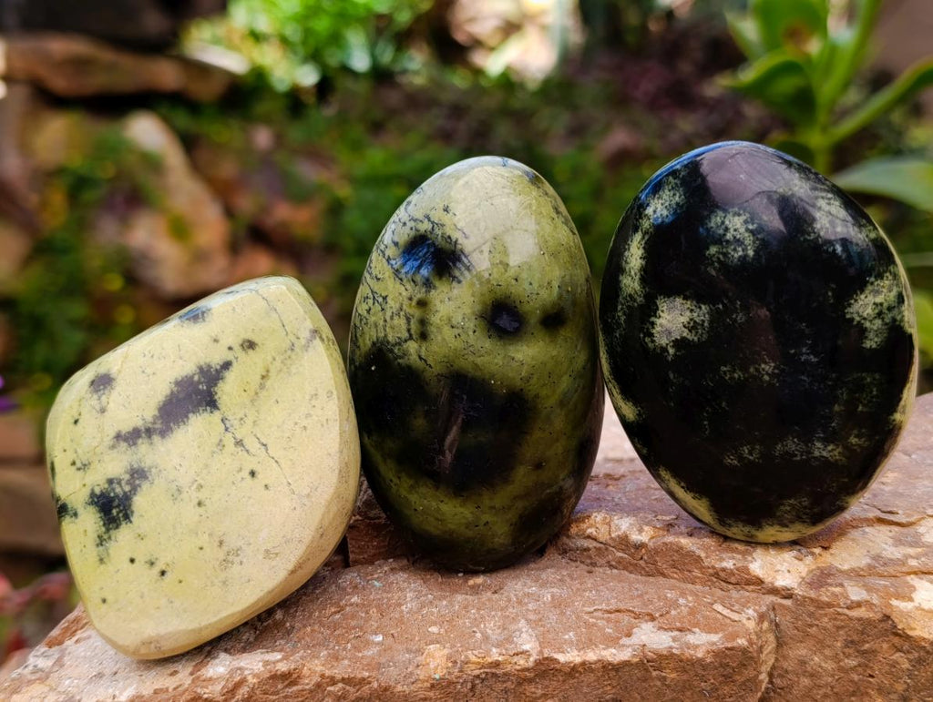 Polished Leopard Stone Free Forms x 10 From Zimbabwe - Toprock Gemstones and Minerals 