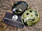 Polished Leopard Stone Free Forms x 10 From Zimbabwe - Toprock Gemstones and Minerals 