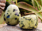 Polished Leopard Stone Free Forms x 10 From Zimbabwe - Toprock Gemstones and Minerals 