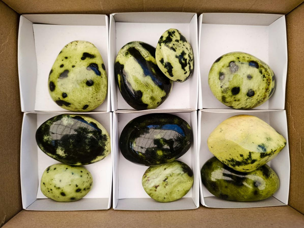 Polished Leopard Stone Free Forms x 10 From Zimbabwe - Toprock Gemstones and Minerals 