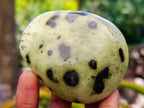 Polished Leopard Stone Free Forms x 10 From Zimbabwe - Toprock Gemstones and Minerals 