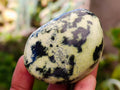 Polished Leopard Stone Free Forms x 10 From Zimbabwe - Toprock Gemstones and Minerals 
