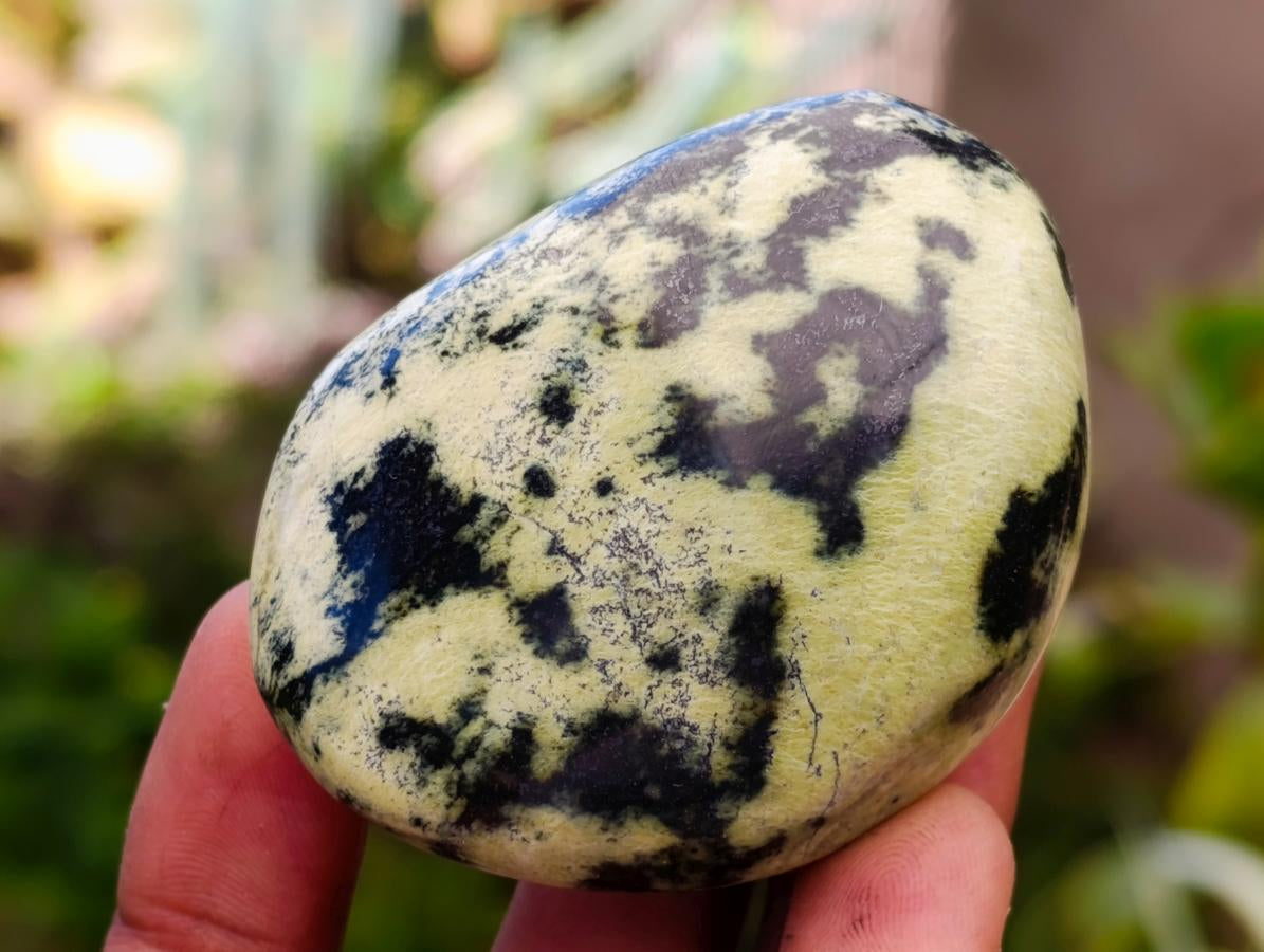 Polished Leopard Stone Free Forms x 10 From Zimbabwe - Toprock Gemstones and Minerals 
