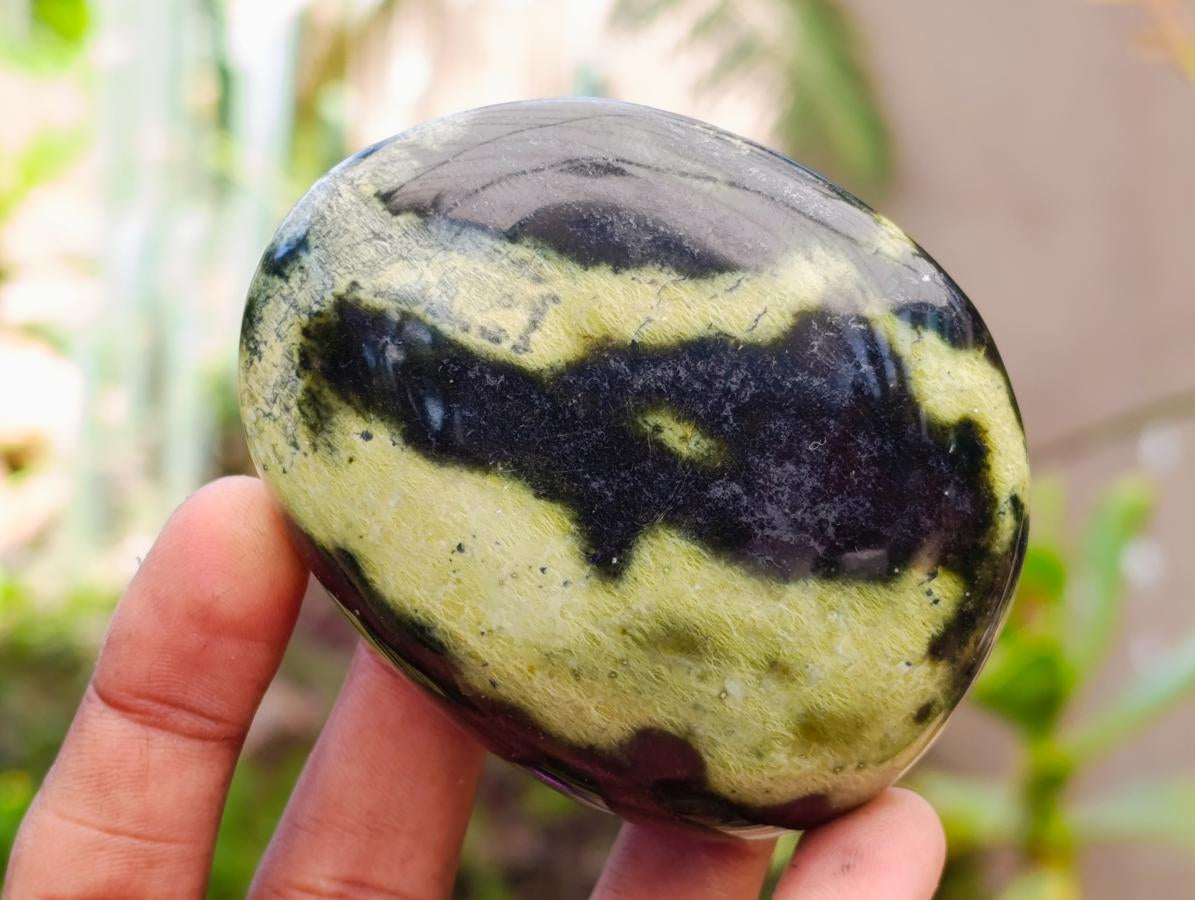 Polished Leopard Stone Free Forms x 10 From Zimbabwe - Toprock Gemstones and Minerals 