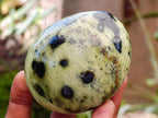 Polished Leopard Stone Free Forms x 10 From Zimbabwe - Toprock Gemstones and Minerals 