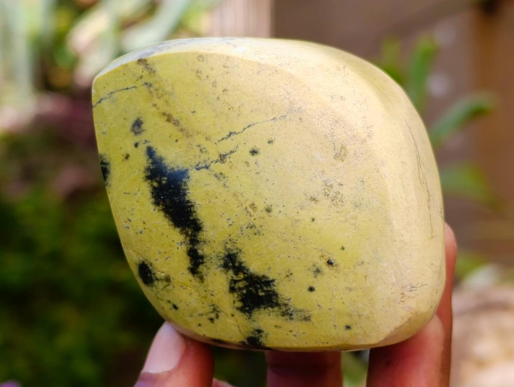 Polished Leopard Stone Free Forms x 10 From Zimbabwe - Toprock Gemstones and Minerals 