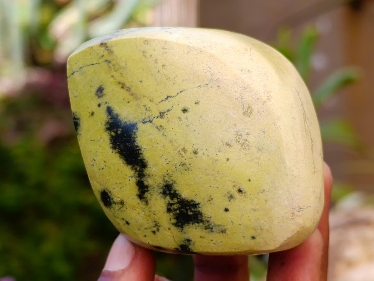 Polished Leopard Stone Free Forms x 10 From Zimbabwe - Toprock Gemstones and Minerals 