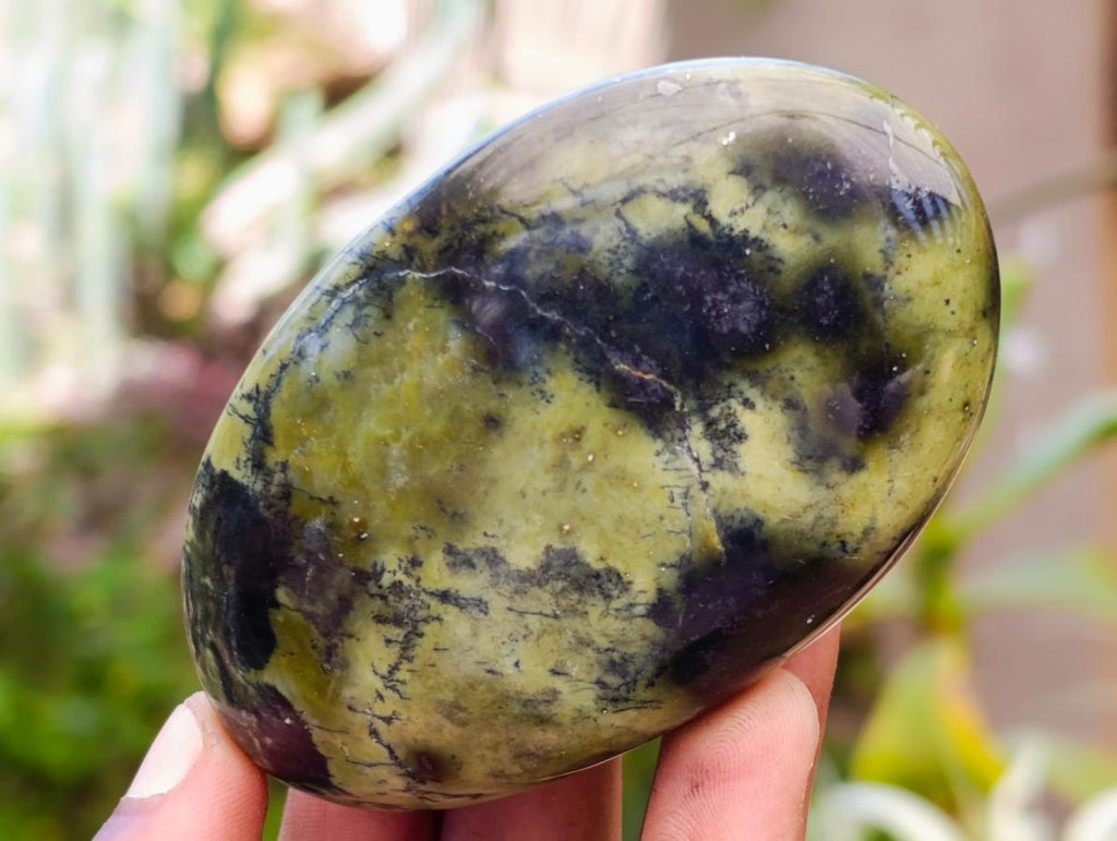 Polished Leopard Stone Free Forms x 10 From Zimbabwe - Toprock Gemstones and Minerals 