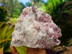 Natural Large Pink Rubellite Tourmaline Specimen x 1 From Karibib, Namibia - Toprock Gemstones and Minerals 