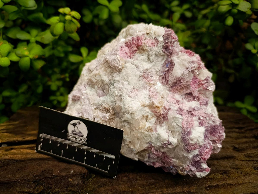 Natural Large Pink Rubellite Tourmaline Specimen x 1 From Karibib, Namibia - Toprock Gemstones and Minerals 