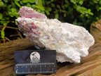 Natural Large Pink Rubellite Tourmaline Specimen x 1 From Karibib, Namibia - Toprock Gemstones and Minerals 