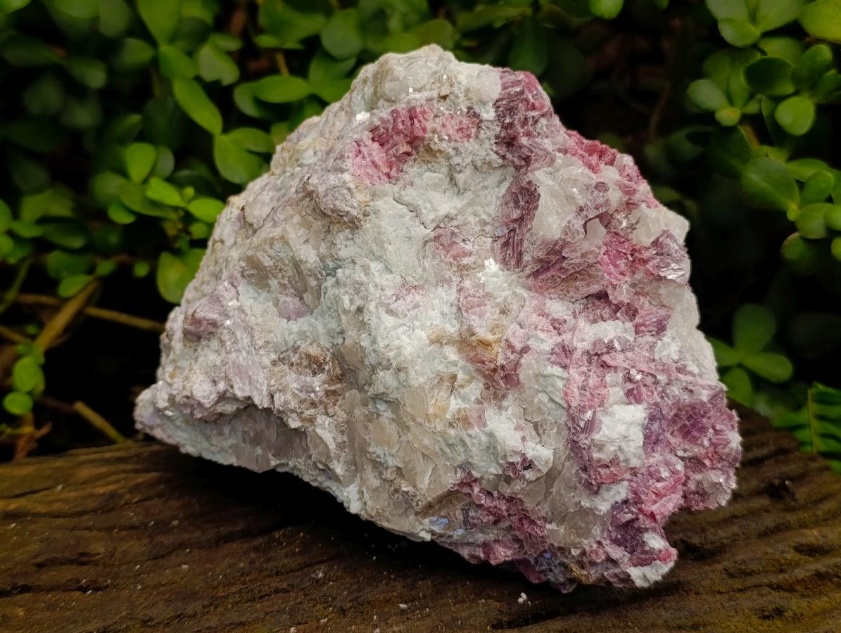 Natural Large Pink Rubellite Tourmaline Specimen x 1 From Karibib, Namibia - Toprock Gemstones and Minerals 
