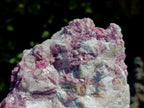 Natural Large Pink Rubellite Tourmaline Specimen x 1 From Karibib, Namibia - Toprock Gemstones and Minerals 
