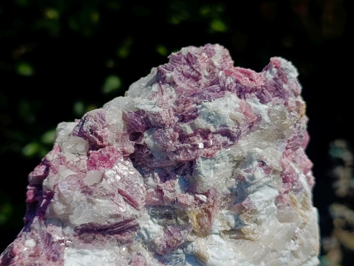 Natural Large Pink Rubellite Tourmaline Specimen x 1 From Karibib, Namibia - Toprock Gemstones and Minerals 