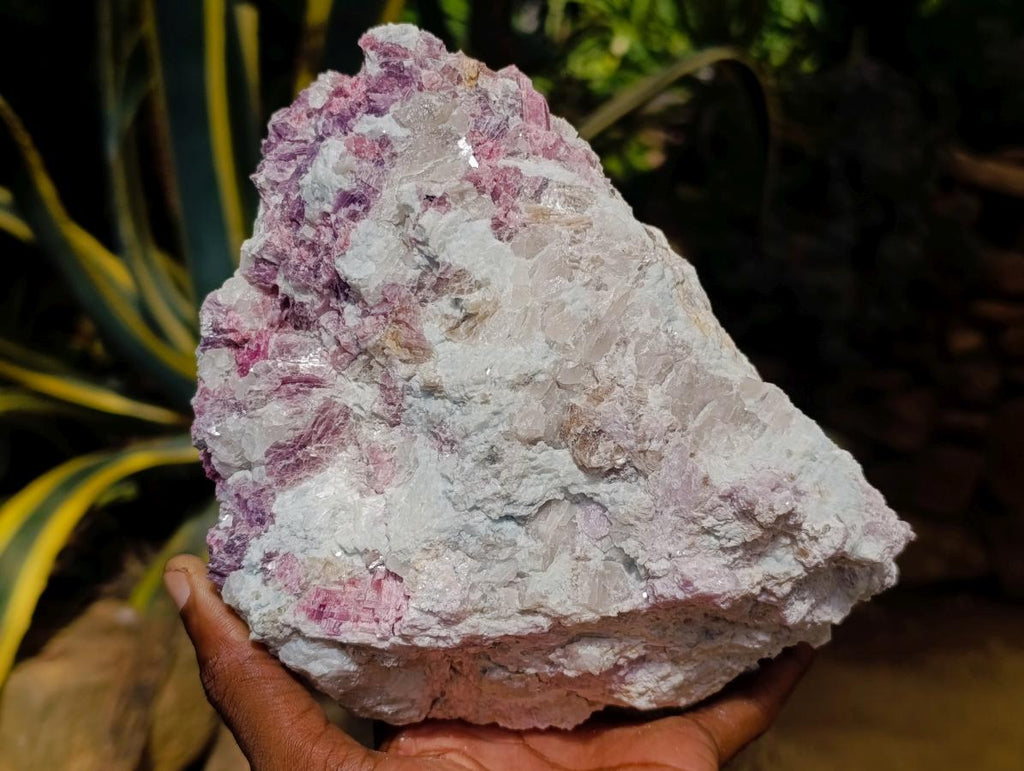 Natural Large Pink Rubellite Tourmaline Specimen x 1 From Karibib, Namibia - Toprock Gemstones and Minerals 