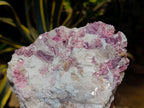 Natural Large Pink Rubellite Tourmaline Specimen x 1 From Karibib, Namibia - Toprock Gemstones and Minerals 