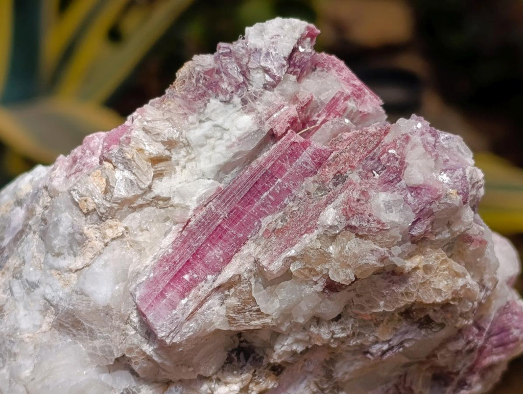 Natural Large Pink Rubellite Tourmaline Specimen x 1 From Karibib, Namibia - Toprock Gemstones and Minerals 