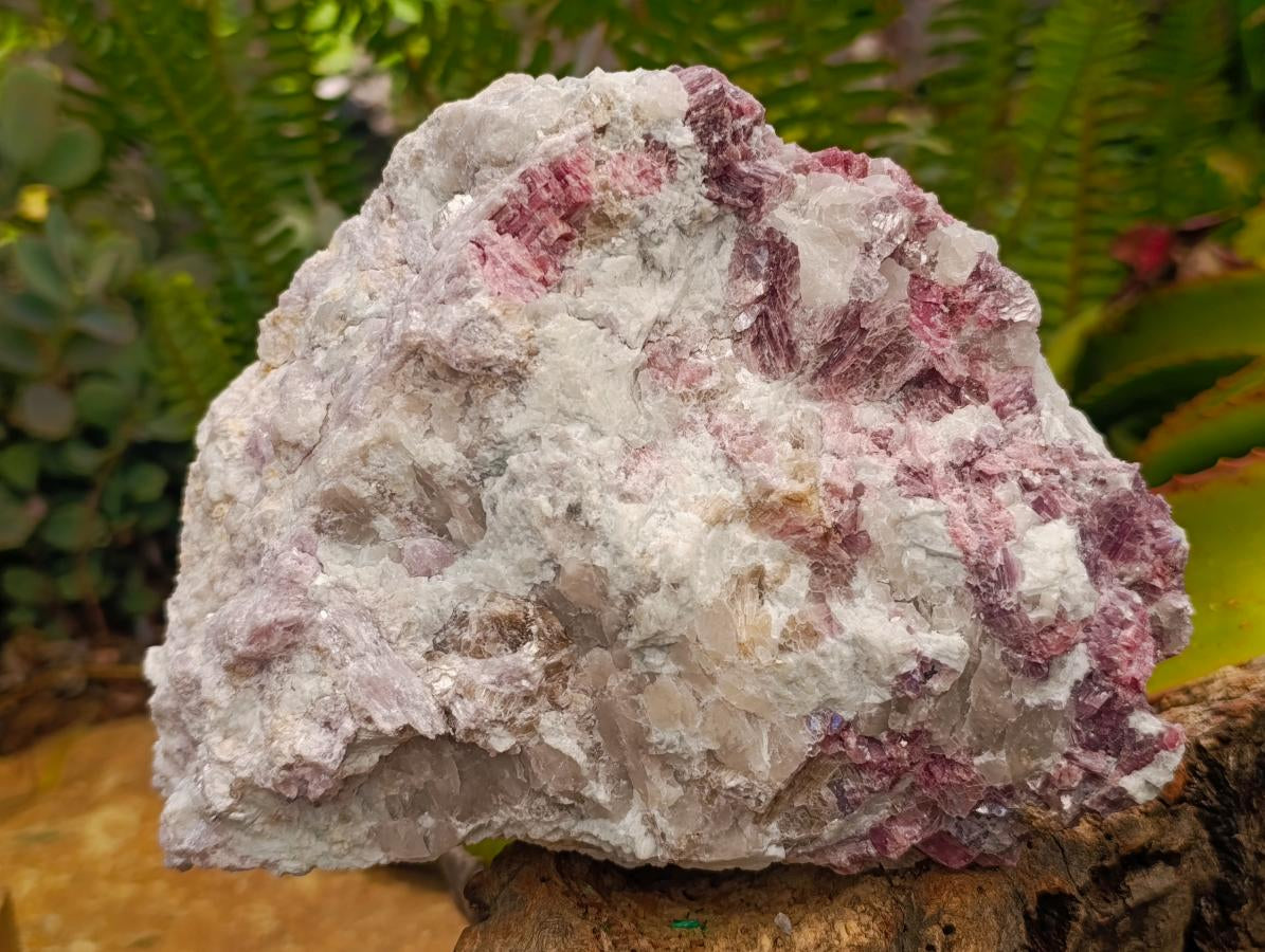 Natural Large Pink Rubellite Tourmaline Specimen x 1 From Karibib, Namibia - Toprock Gemstones and Minerals 