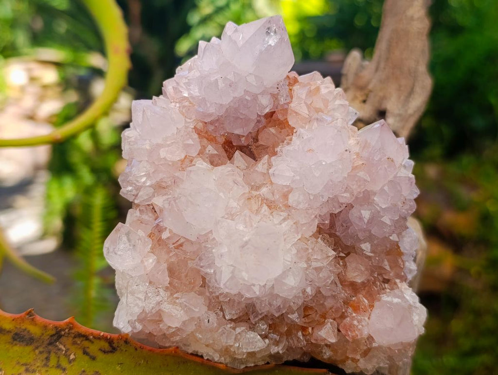 Natural Mixed Spirit Quartz Clusters x 2 From Boekenhouthoek, South Africa - Toprock Gemstones and Minerals 