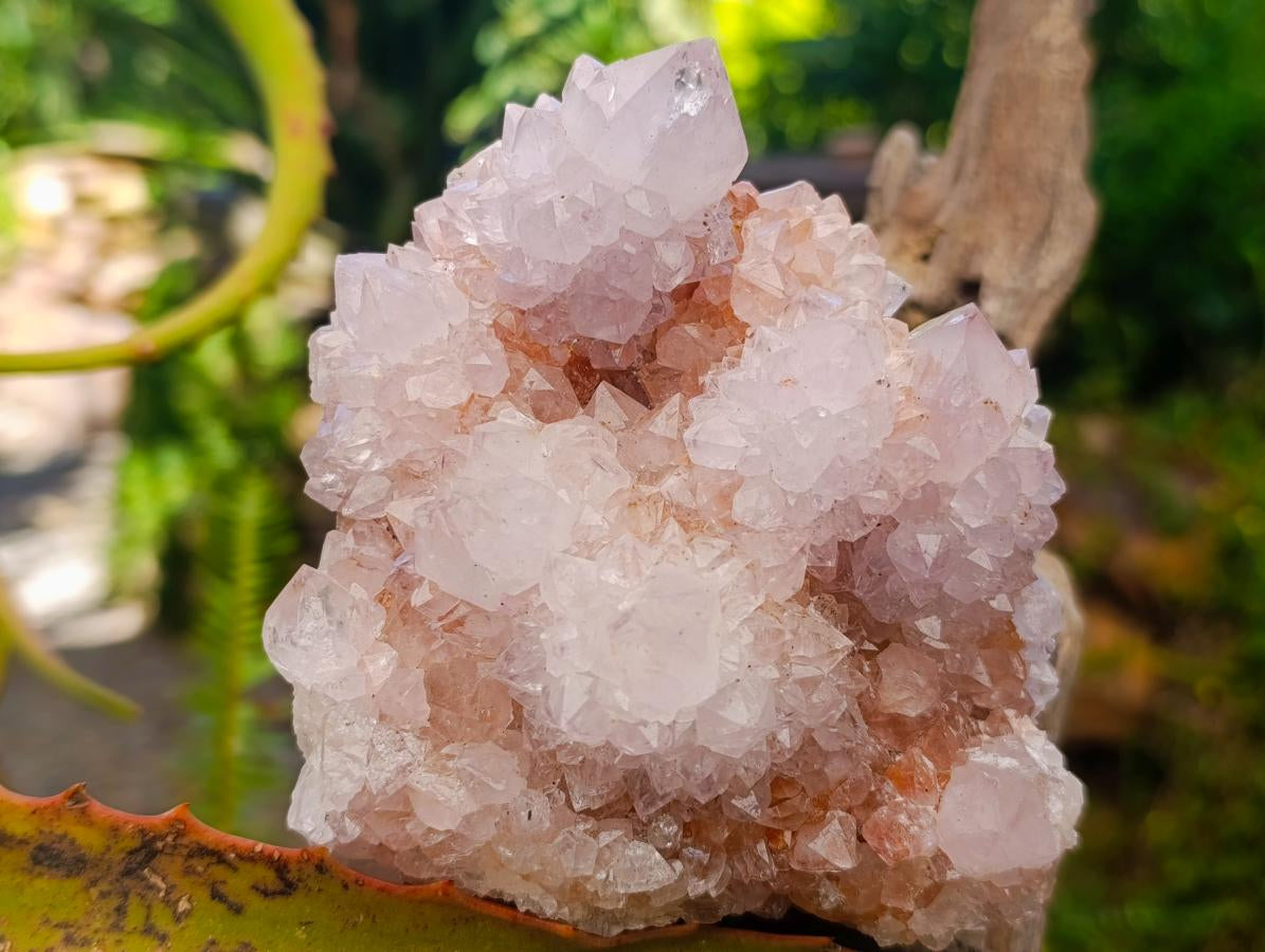 Natural Mixed Spirit Quartz Clusters x 2 From Boekenhouthoek, South Africa - Toprock Gemstones and Minerals 