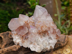 Natural Mixed Spirit Quartz Clusters x 2 From Boekenhouthoek, South Africa - Toprock Gemstones and Minerals 