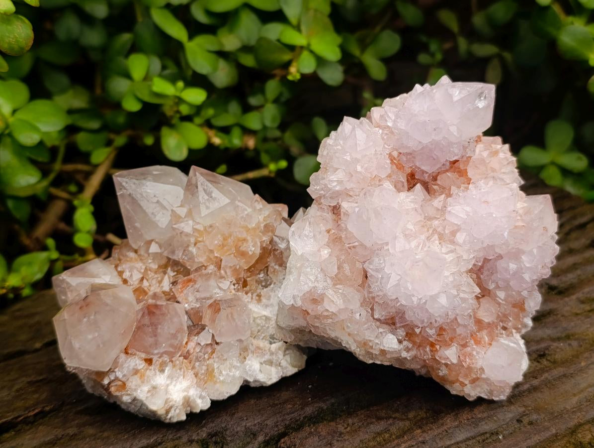 Natural Mixed Spirit Quartz Clusters x 2 From Boekenhouthoek, South Africa - Toprock Gemstones and Minerals 