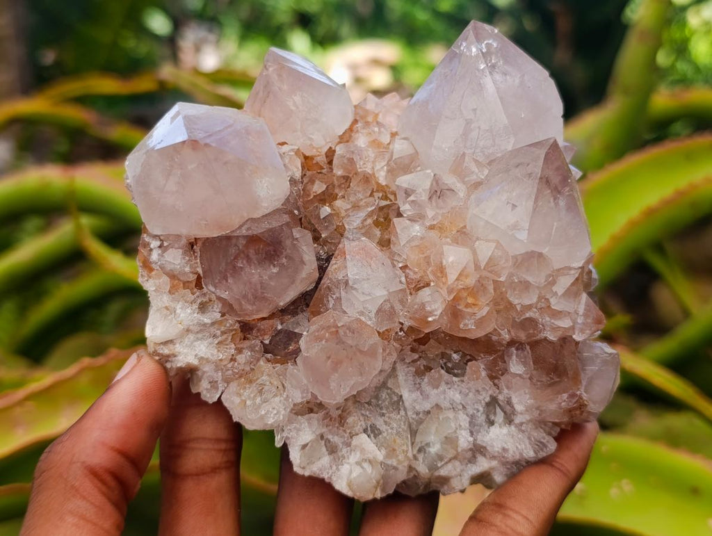 Natural Mixed Spirit Quartz Clusters x 2 From Boekenhouthoek, South Africa - Toprock Gemstones and Minerals 
