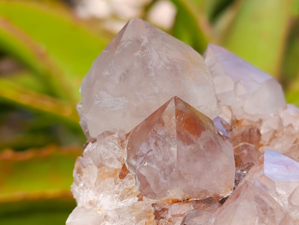 Natural Mixed Spirit Quartz Clusters x 2 From Boekenhouthoek, South Africa - Toprock Gemstones and Minerals 