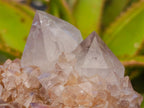 Natural Mixed Spirit Quartz Clusters x 2 From Boekenhouthoek, South Africa - Toprock Gemstones and Minerals 