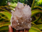 Natural Mixed Spirit Quartz Clusters x 2 From Boekenhouthoek, South Africa - Toprock Gemstones and Minerals 