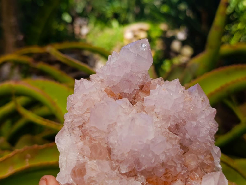 Natural Mixed Spirit Quartz Clusters x 2 From Boekenhouthoek, South Africa - Toprock Gemstones and Minerals 