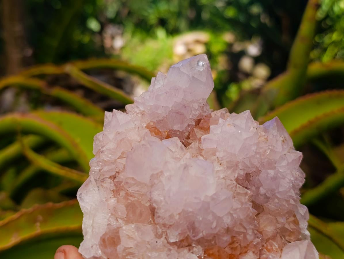 Natural Mixed Spirit Quartz Clusters x 2 From Boekenhouthoek, South Africa - Toprock Gemstones and Minerals 