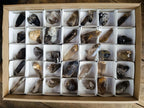 Natural Smokey Quartz Crystals x 35 From Mulanje, Malawi - Toprock Gemstones and Minerals 