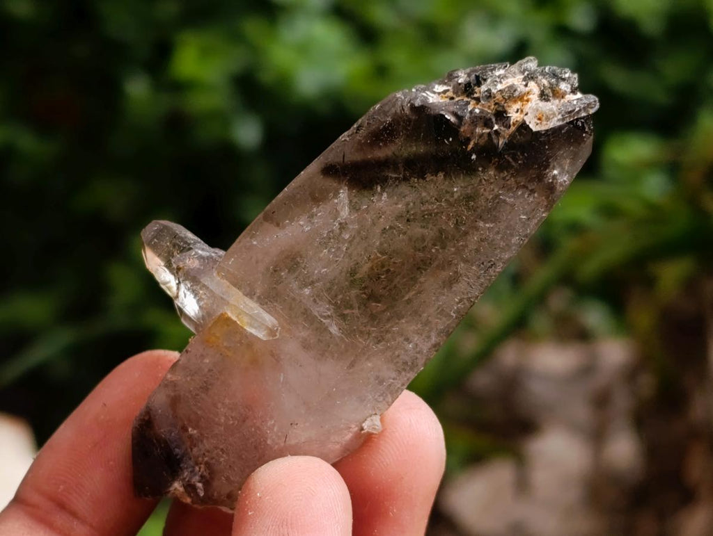 Natural Smokey Quartz Crystals x 35 From Mulanje, Malawi - Toprock Gemstones and Minerals 
