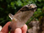 Natural Smokey Quartz Crystals x 35 From Mulanje, Malawi - Toprock Gemstones and Minerals 