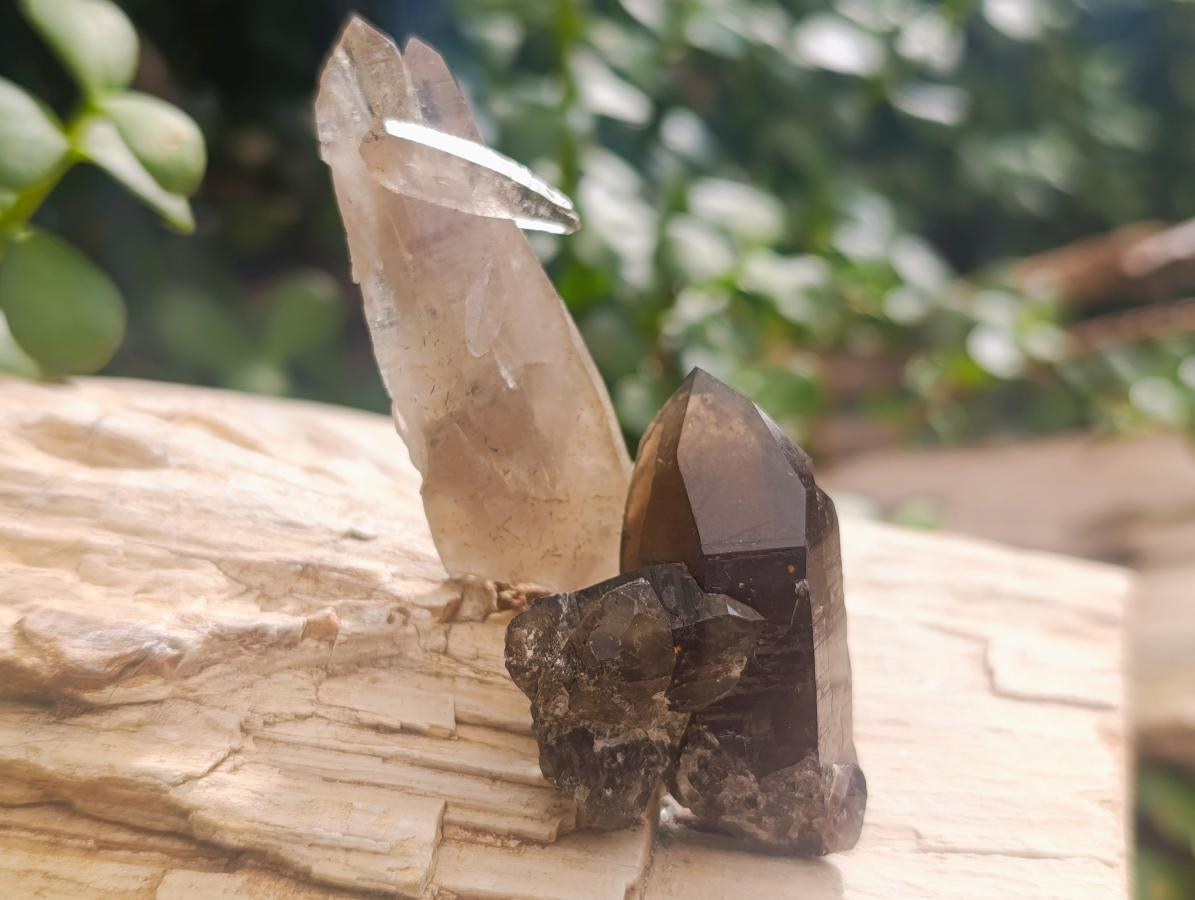 Natural Smokey Quartz Crystals x 35 From Mulanje, Malawi - Toprock Gemstones and Minerals 
