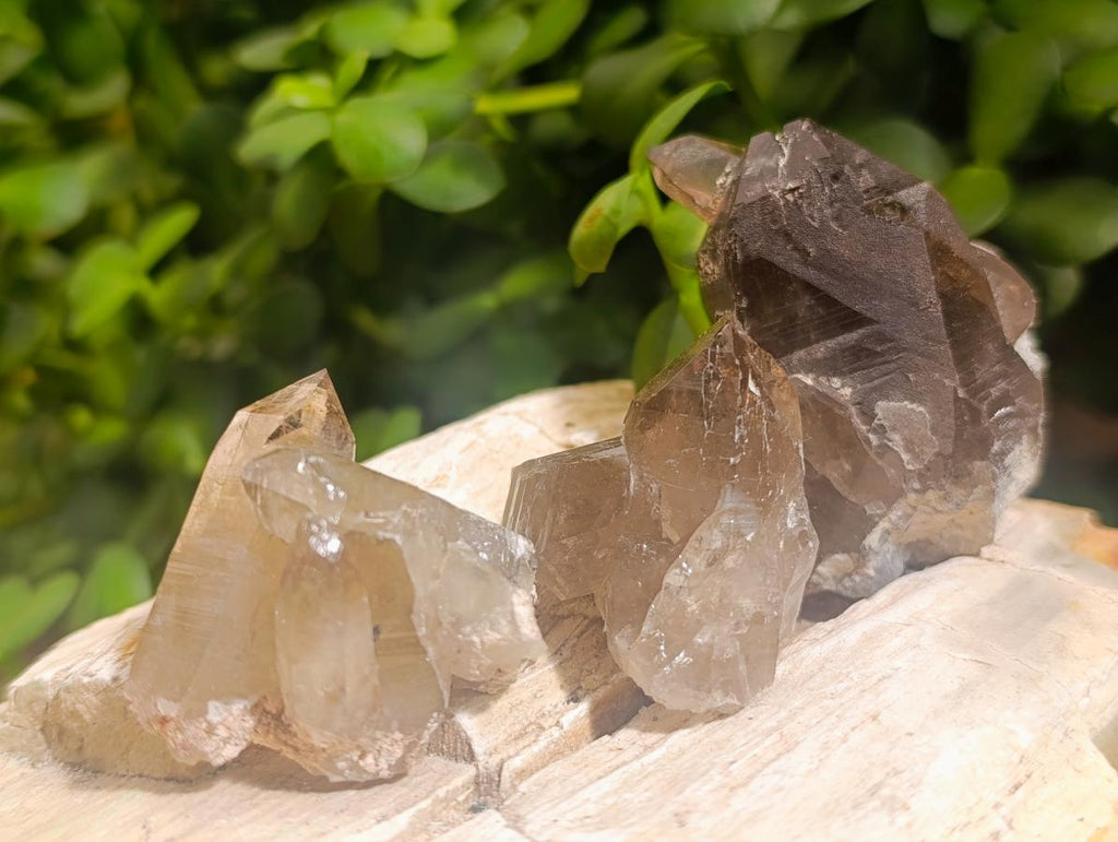Natural Smokey Quartz Crystals x 35 From Mulanje, Malawi - Toprock Gemstones and Minerals 