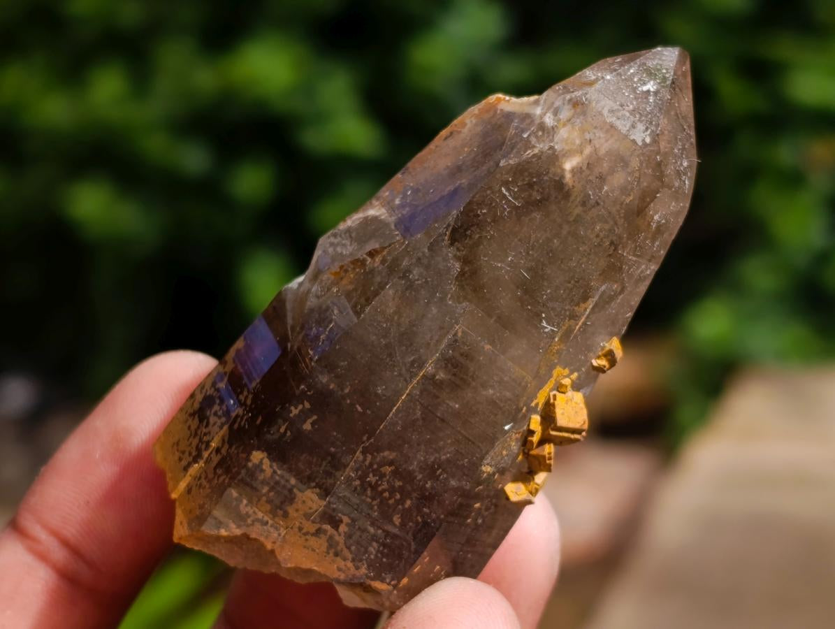 Natural Smokey Quartz Crystals x 35 From Mulanje, Malawi - Toprock Gemstones and Minerals 