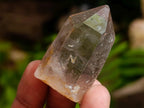 Natural Smokey Quartz Crystals x 35 From Mulanje, Malawi - Toprock Gemstones and Minerals 