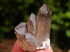 Natural Smokey Quartz Crystals x 35 From Mulanje, Malawi - Toprock Gemstones and Minerals 