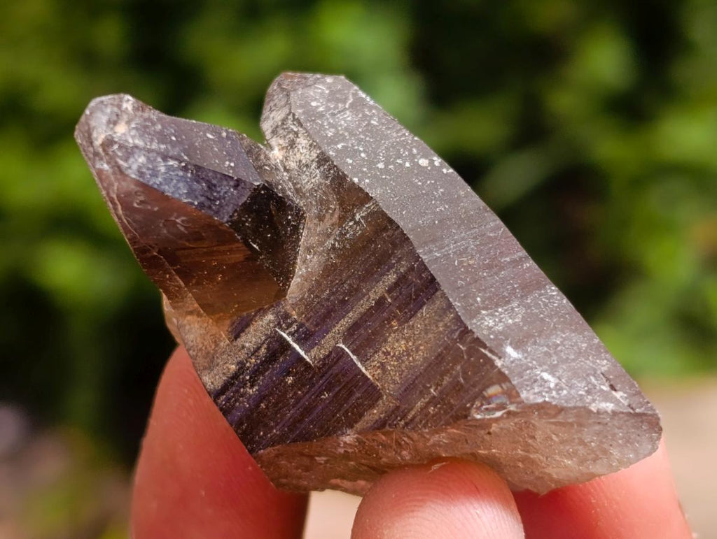 Natural Smokey Quartz Crystals x 35 From Mulanje, Malawi - Toprock Gemstones and Minerals 