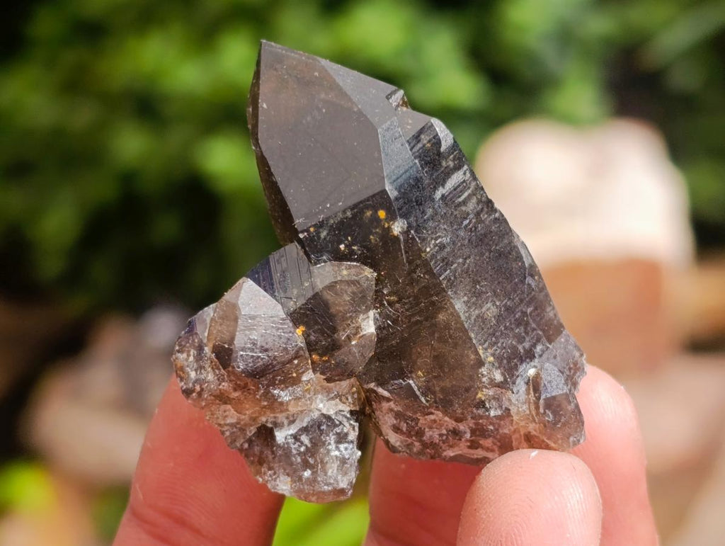 Natural Smokey Quartz Crystals x 35 From Mulanje, Malawi - Toprock Gemstones and Minerals 