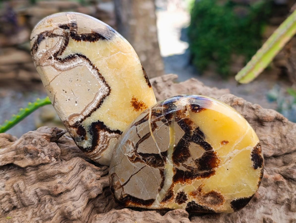 Polished Septerye Slices x 12 From Mahajanga, Madagascar - Toprock Gemstones and Minerals 