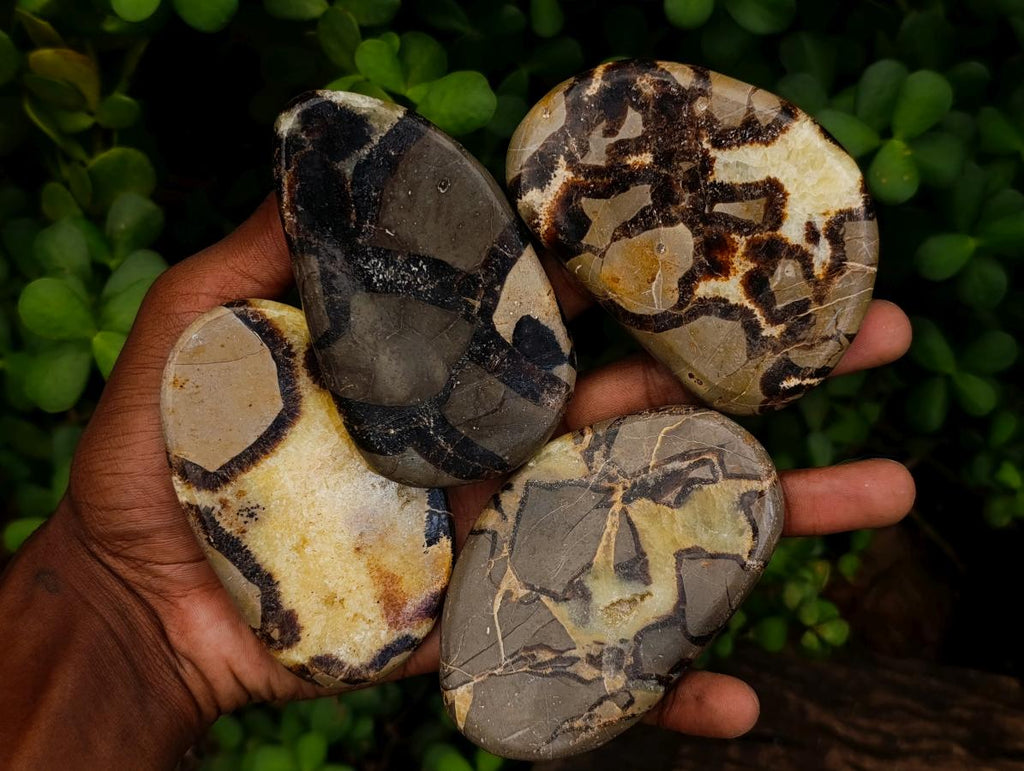 Polished Septerye Slices x 12 From Mahajanga, Madagascar - Toprock Gemstones and Minerals 