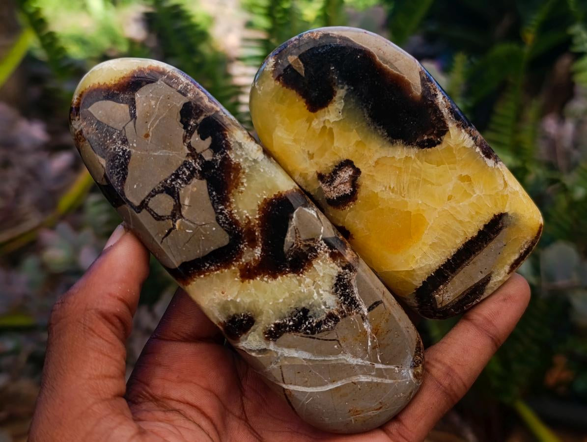 Polished Septerye Slices x 12 From Mahajanga, Madagascar - Toprock Gemstones and Minerals 